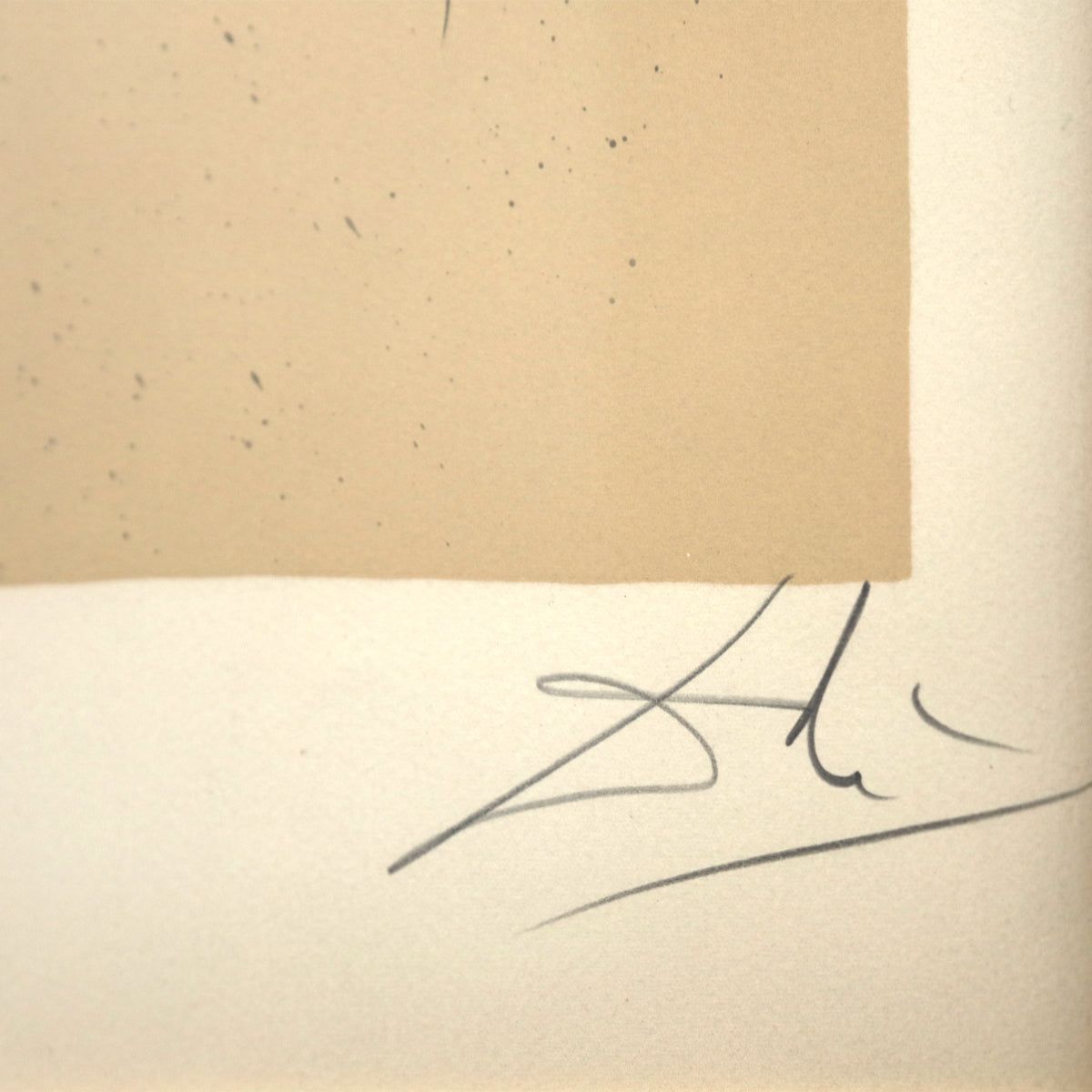 Salvador Dali- Original Lithograph "The Price- Bereavement"