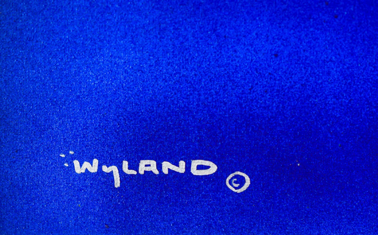Wyland- Original Painting on Canvas "Dolphin"