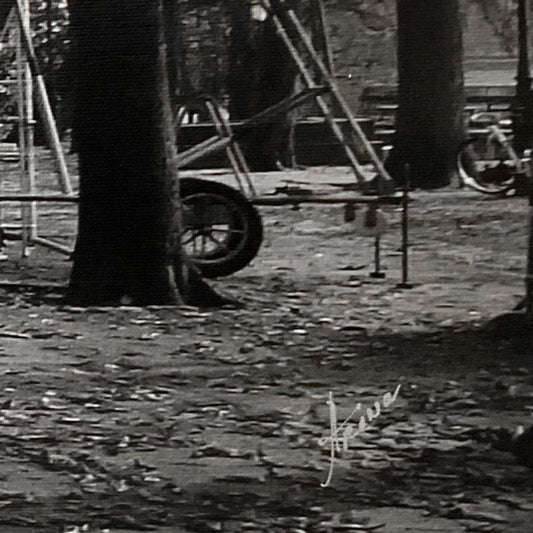 Misha Aronov, "Deep Autumn" Framed Limited Edition Photograph on Canvas, Numbered and Hand Signed with Letter of Authenticity.