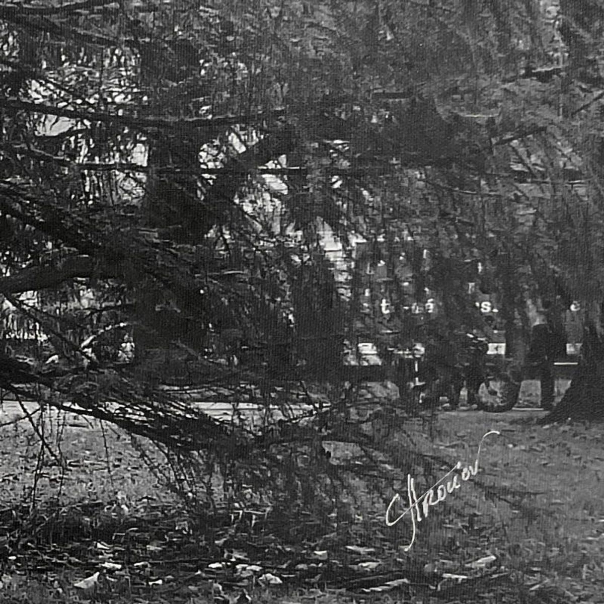 Misha Aronov, "Geneva II" Framed Limited Edition Photograph on Canvas, Numbered and Hand Signed with Letter of Authenticity.