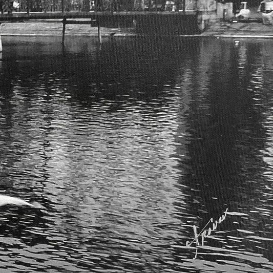 Misha Aronov, "Swiss Dream" Framed Limited Edition Photograph on Canvas, Numbered and Hand Signed with Letter of Authenticity.