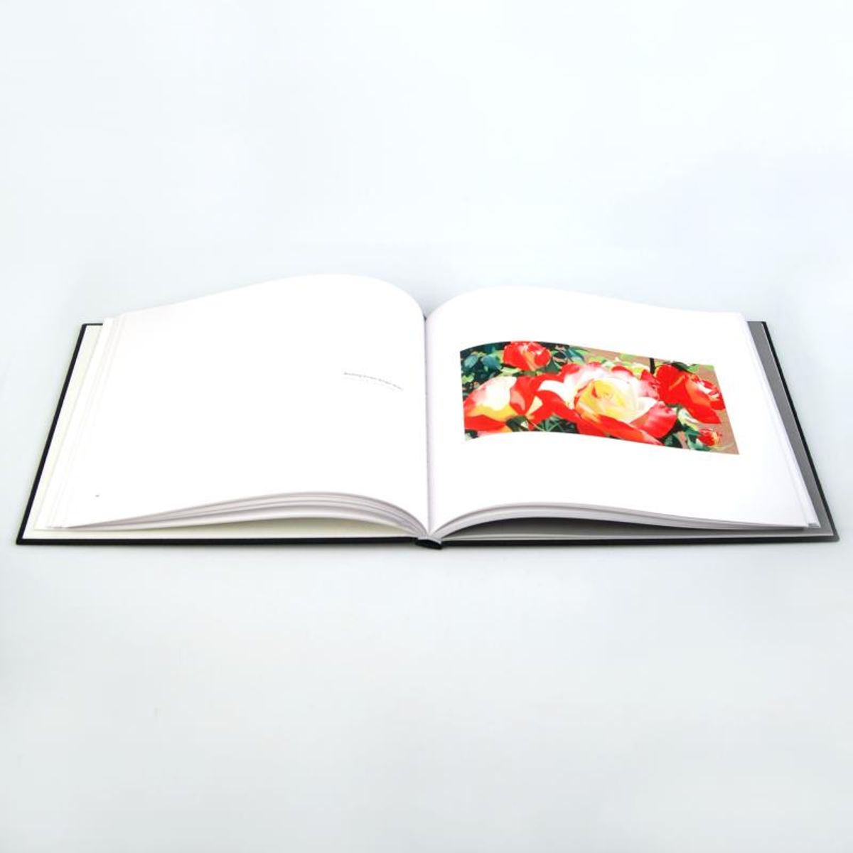 Brian Davis, "Contemporary Master in a Grand Tradition" Fine Art Book, Celebrating the Artist's Floral Collections.