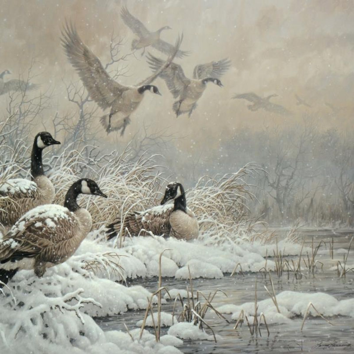 Larry Fanning (1938-2014), "Winter Retreat - Canada Geese" Limited Edition Lithograph, Numbered and Hand Signed with Letter of Authenticity.
