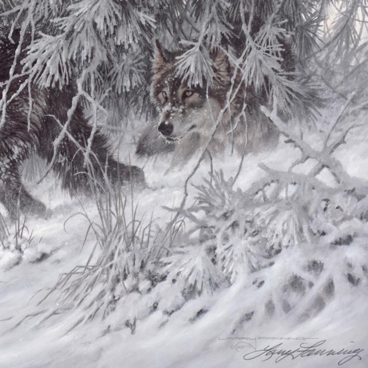 Larry Fanning (1938-2014), "Phantom of the North - Wolf (Small)" Hand Signed Lithograph with Letter of Authenticity.
