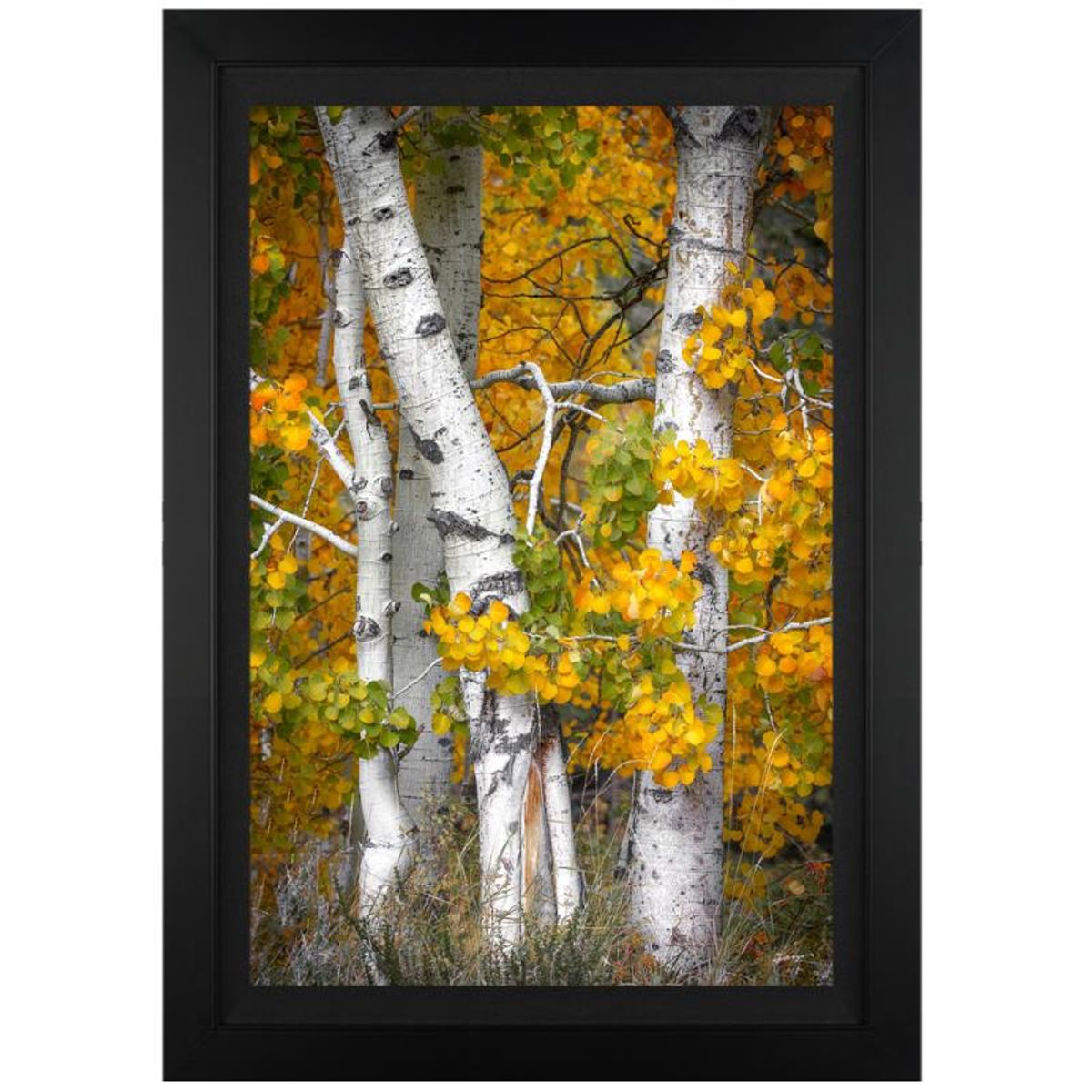 Jongas, "Fall is Over" Framed Limited Edition on Canvas, Numbered and Hand Signed with Letter of Authenticity.
