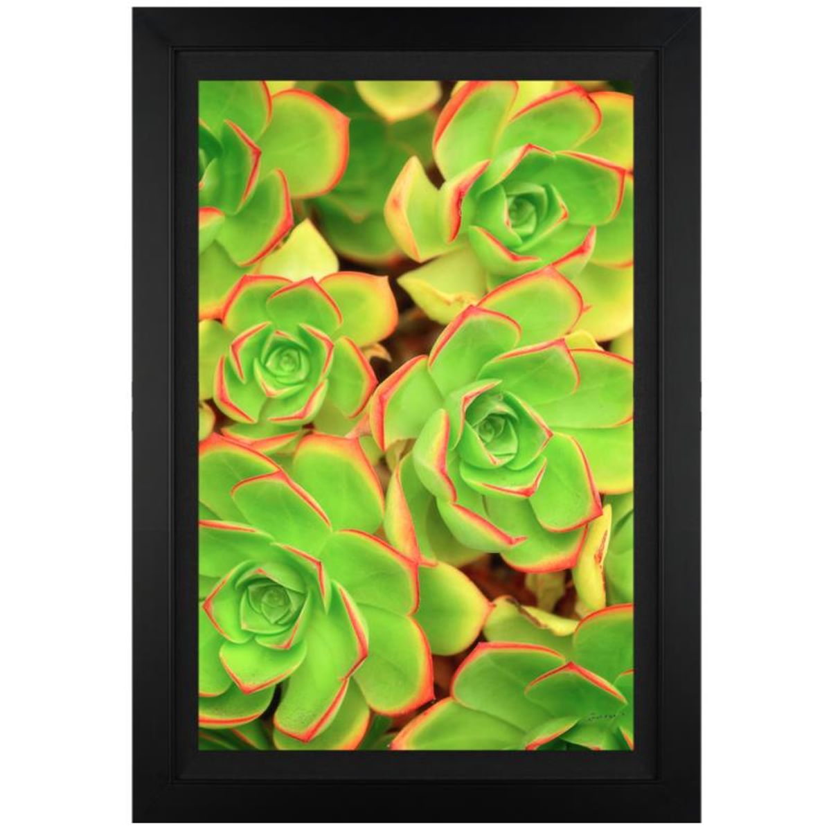 Jongas, "Summertime" Framed Limited Edition on Canvas, Numbered and Hand Signed with Letter of Authenticity.