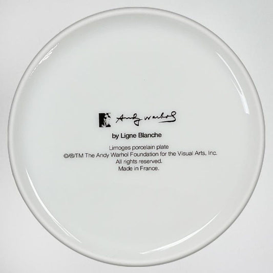 Andy Warhol (1928-1987), "MAO (Pink Jacket)" Framed Limoges Porcelain Plate.