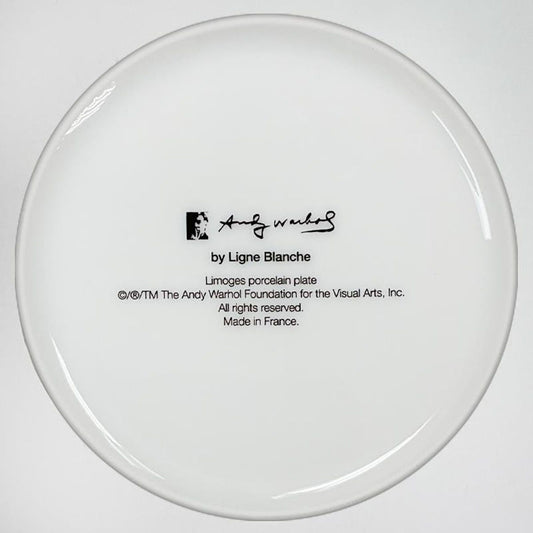 Andy Warhol (1928-1987), "MAO (Yellow Jacket)" Framed Limoges Porcelain Plate.