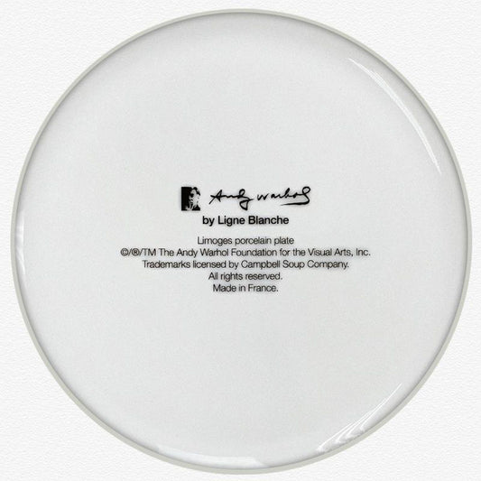Andy Warhol (1928-1987), "Campbell (Red/Pink)" Framed Limoges Porcelain Plate.