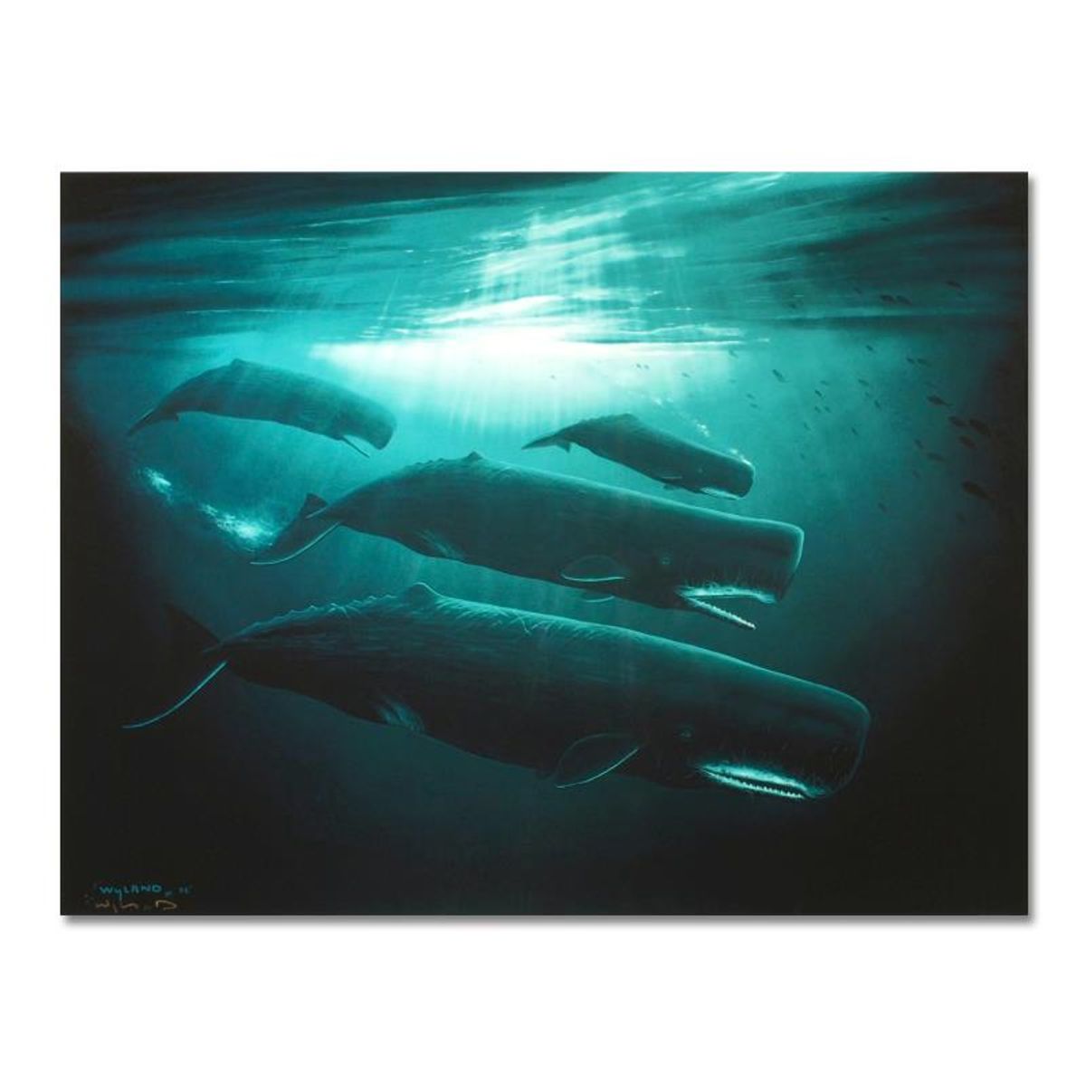 Wyland, "The Great Sperm Whale" Hand Embellished Limited Edition Cibachrome, Numbered and Hand Signed with Certificate of Authenticity.
