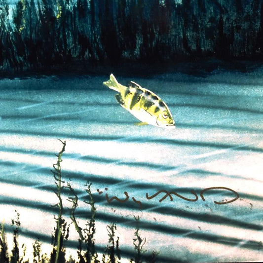 Wyland, "Save the Manatees" Limited Edition Cibachrome, Numbered and Hand Signed with Certificate of Authenticity.