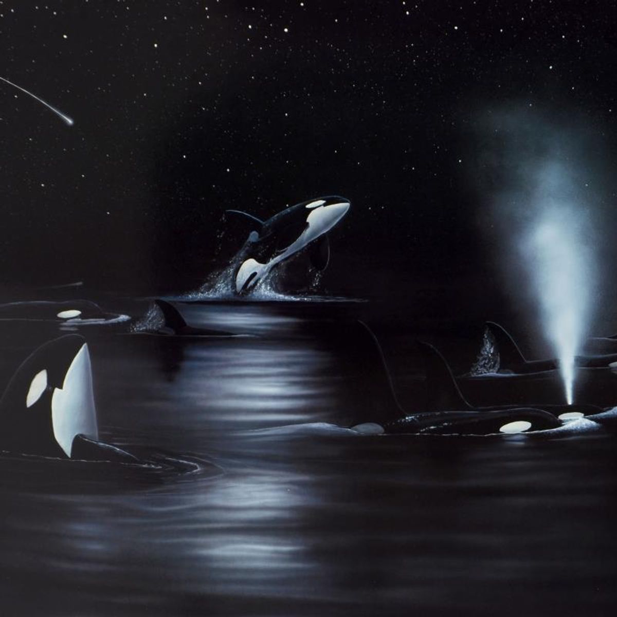 Wyland, "Orca Starry Night" Limited Edition Lithograph, Numbered and Hand Signed with Certificate of Authenticity.