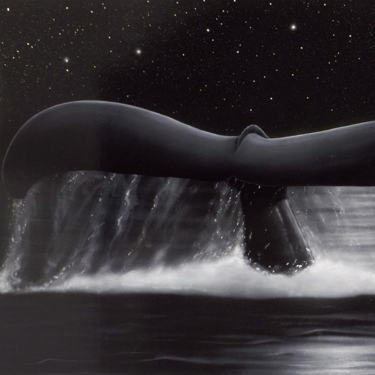 Wyland, "Sea of Stars" Limited Edition Lithograph, Numbered and Hand Signed with Certificate of Authenticity.