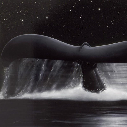 Wyland, "Sea of Stars" Limited Edition Lithograph, Numbered and Hand Signed with Certificate of Authenticity.