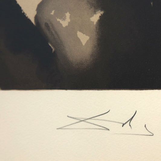 Salvador Dali- Original Lithograph "A moment in history"