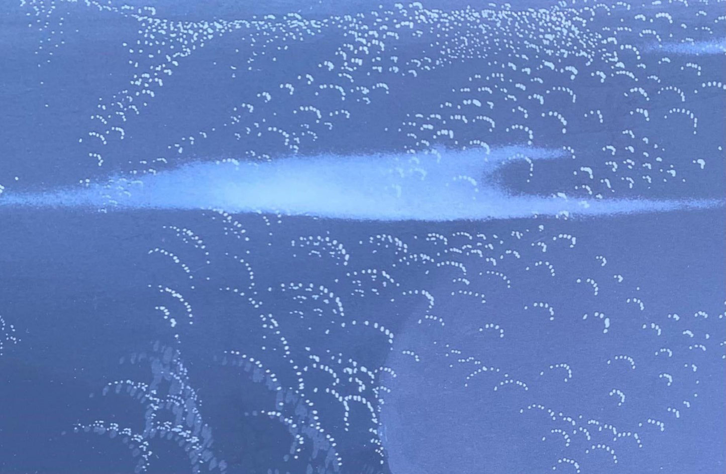 Eyvind Earle- Plate Signed Poster