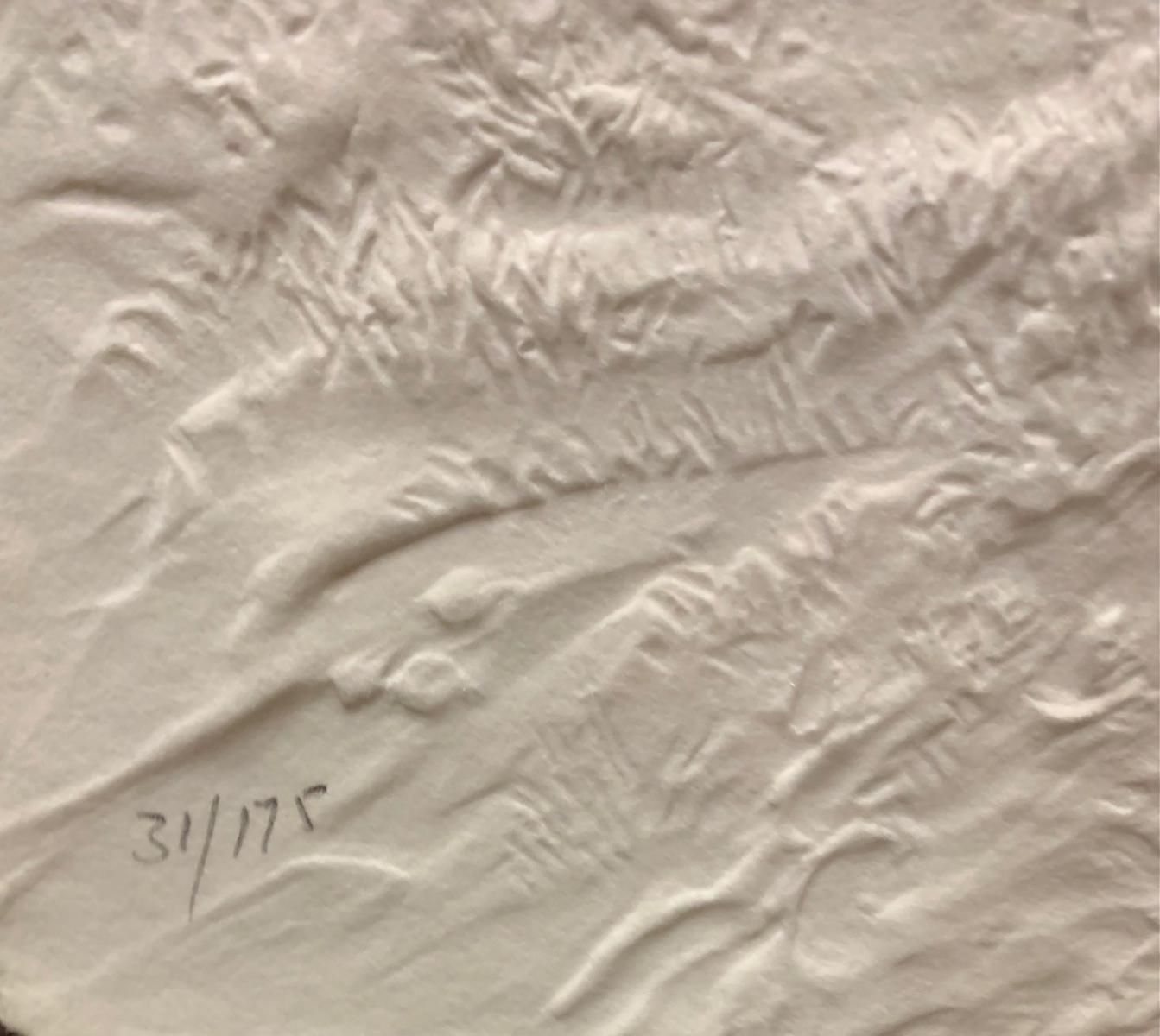 Carlo Wahlbeck- Cast Paper wall sculpture