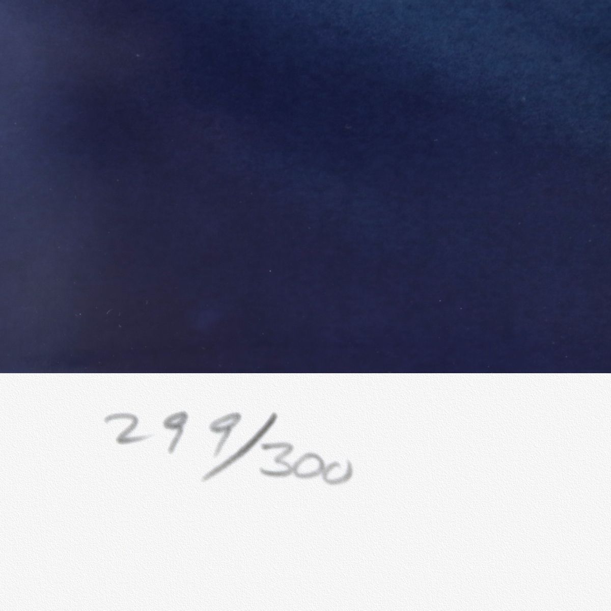 Ilene Meyer - Serigraph