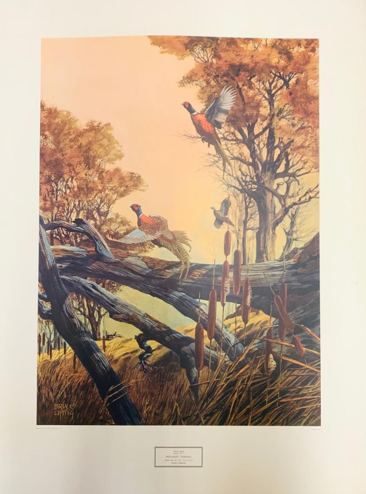 Bruce Lattig- Offset lithograph on paper