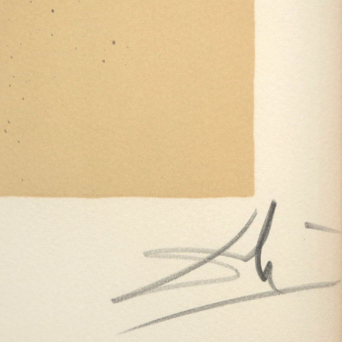 Salvador Dali- Original Lithograph "The Price- Bereavement"