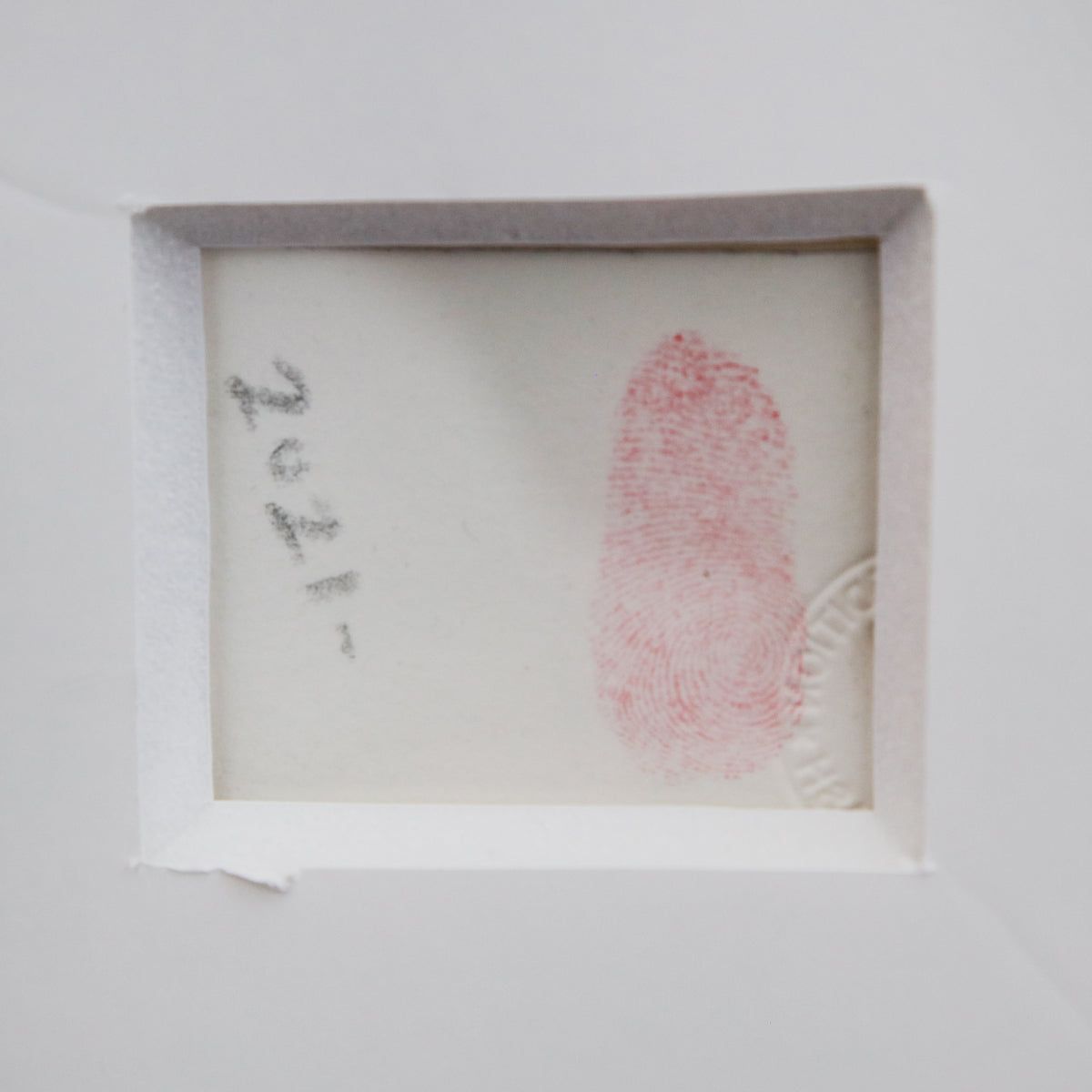 Mr Brainwash- Silkcreen on Paper "Flowarh$ - II (F), 2021"