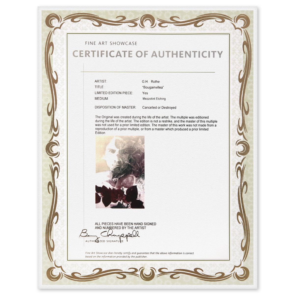 G.H Rothe- Mezzotint Etching "Bougainvillea"