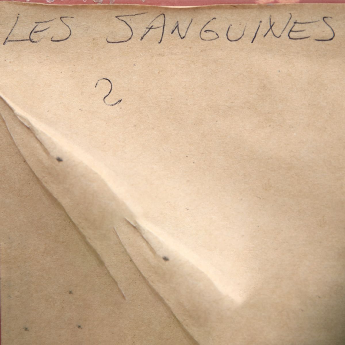 Loppo Martinez- Acrylic on Canvas "Les Sanguines Ruddy"