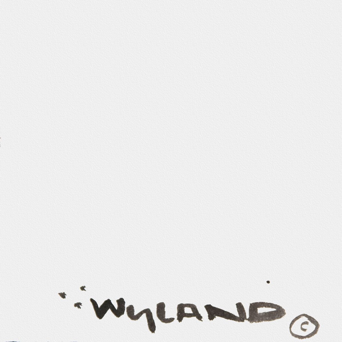 Wyland- Original Sumi Ink Painting "Turtle"
