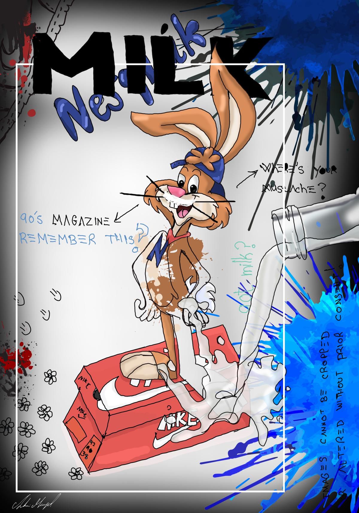 Shani Moyal- Mixed Media "Nestquiq"