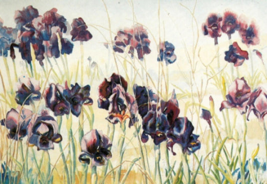 Perla Fox- Original Serigraph "Iris"
