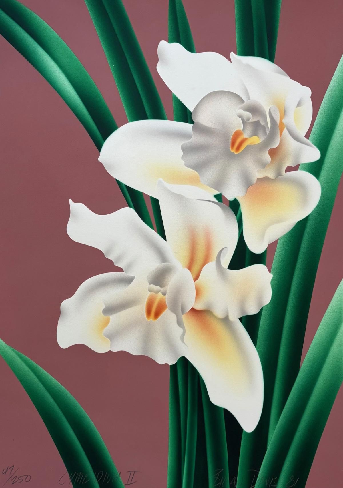 Brian Davis- Limited Edition paragraph on paper