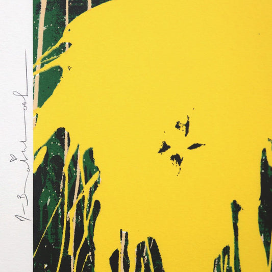 Mr Brainwash- Silkcreen on Paper "Flowarh$ - II (B), 2021"