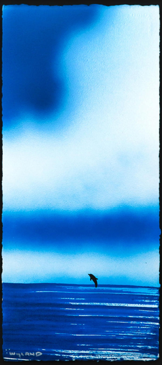 Wyland- Original Watercolor Painting on Deckle Edge Paper "Dolphin"