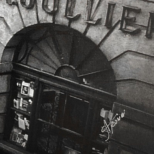 Misha Aronov, "Geneva" Framed Limited Edition Photograph on Canvas, Numbered and Hand Signed with Letter of Authenticity.