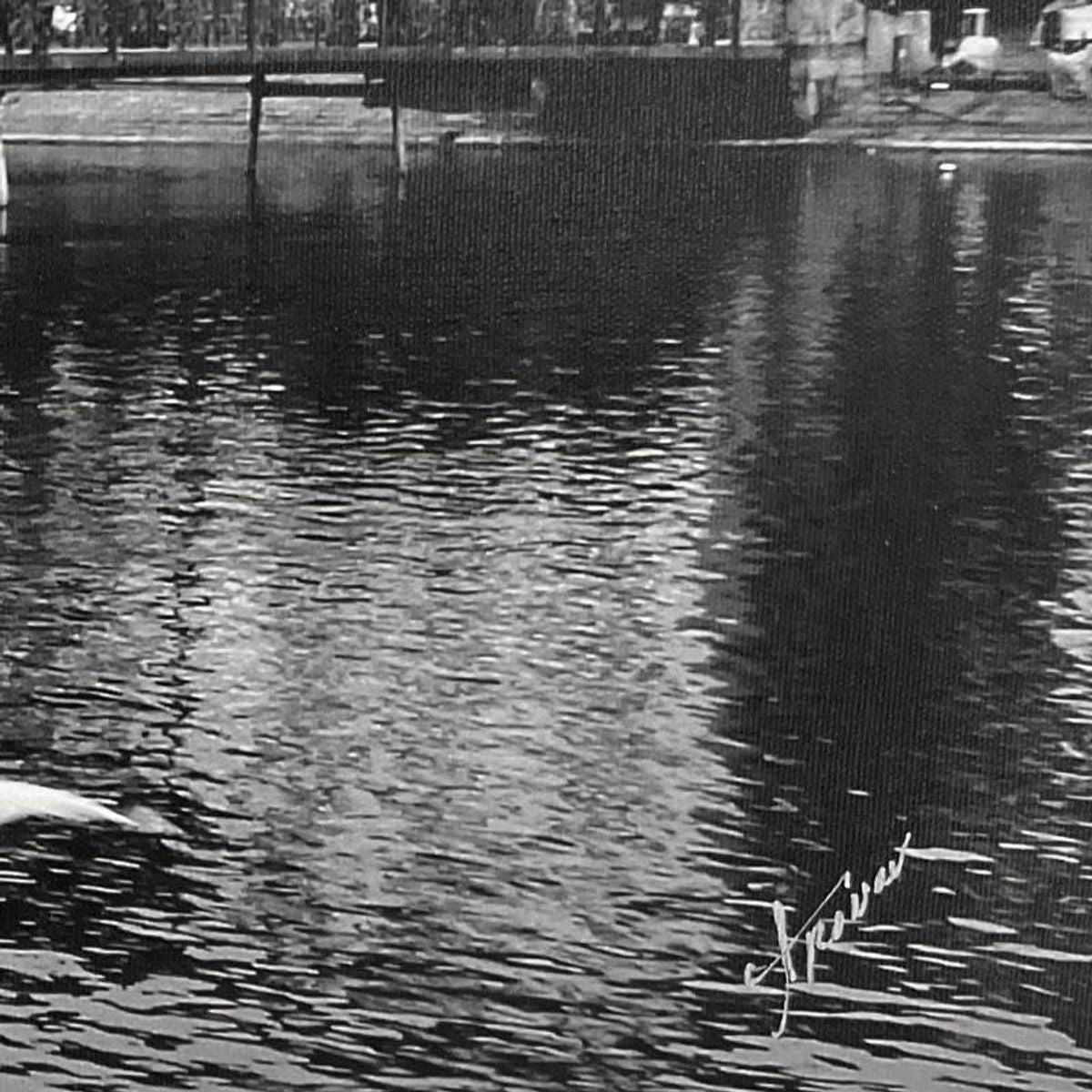 Misha Aronov, "Swiss Dream" Framed Limited Edition Photograph on Canvas, Numbered and Hand Signed with Letter of Authenticity.