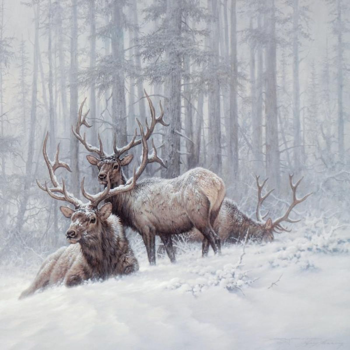Larry Fanning (1938-2014), "Mountain Majesty - Bull Elk" Limited Edition Lithograph, Numbered and Hand Signed with Letter of Authenticity.