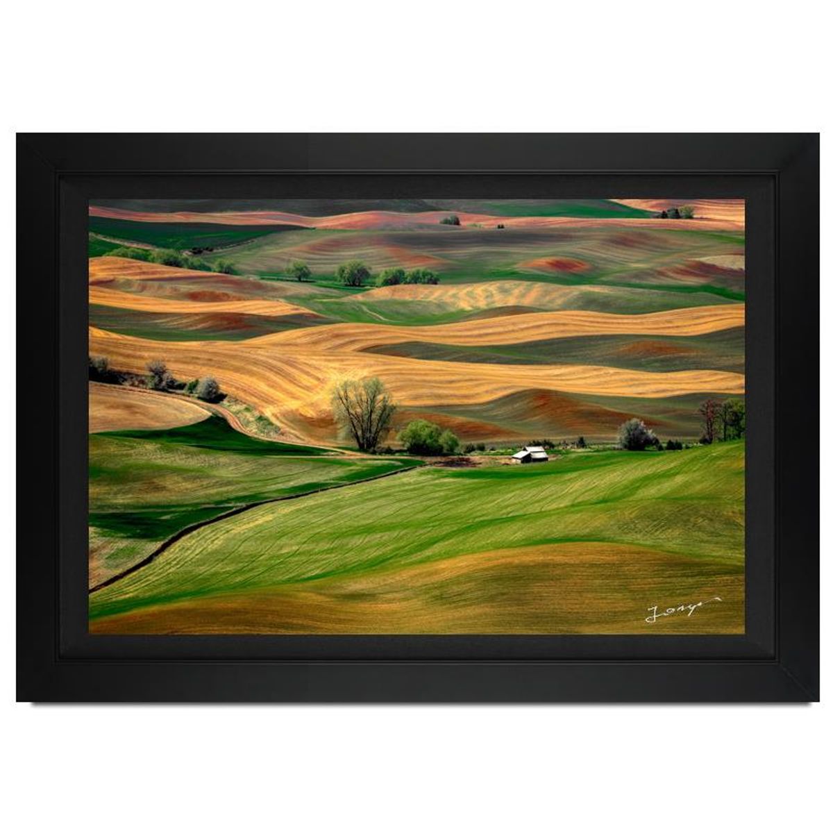 Jongas, "Countryside" Framed Limited Edition Photograph on Canvas, Numbered and Hand Signed with Letter of Authenticity.
