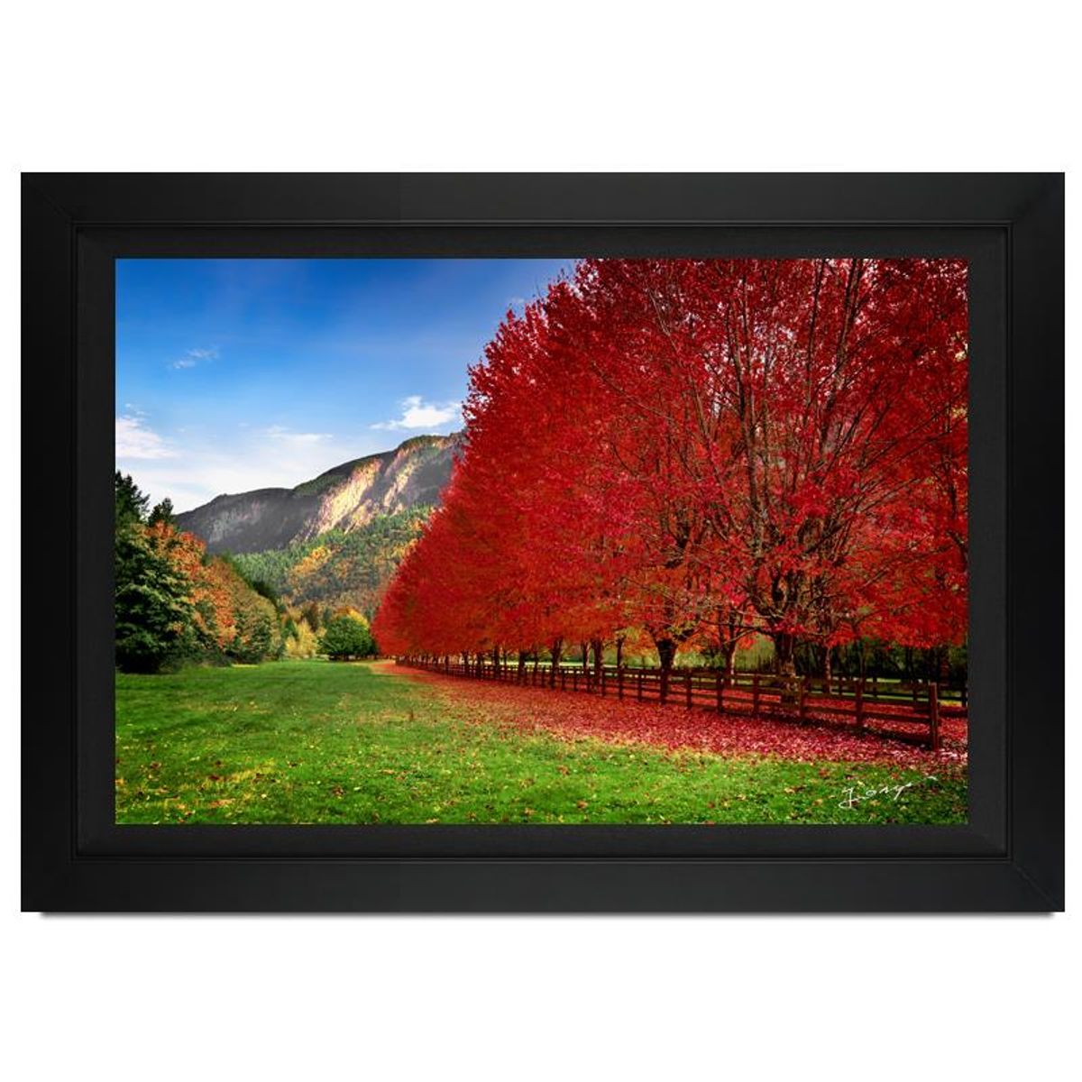 Jongas, "Homestead" Framed Limited Edition Photograph on Canvas, Numbered and Hand Signed with Letter of Authenticity.
