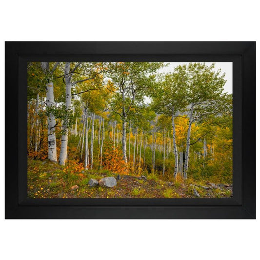 Jongas, "Colorado Garden" Framed Limited Edition on Canvas, Numbered and Hand Signed with Letter of Authenticity.