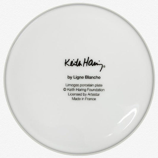 Keith Haring (1958-1990), "Serpent" Framed Limoges Porcelain Plate.