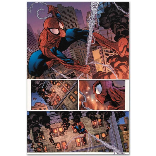 Marvel Comics "The Amazing Spider-Man #596" Numbered Limited Edition Giclee on Canvas by Paulo Siqueira with COA.
