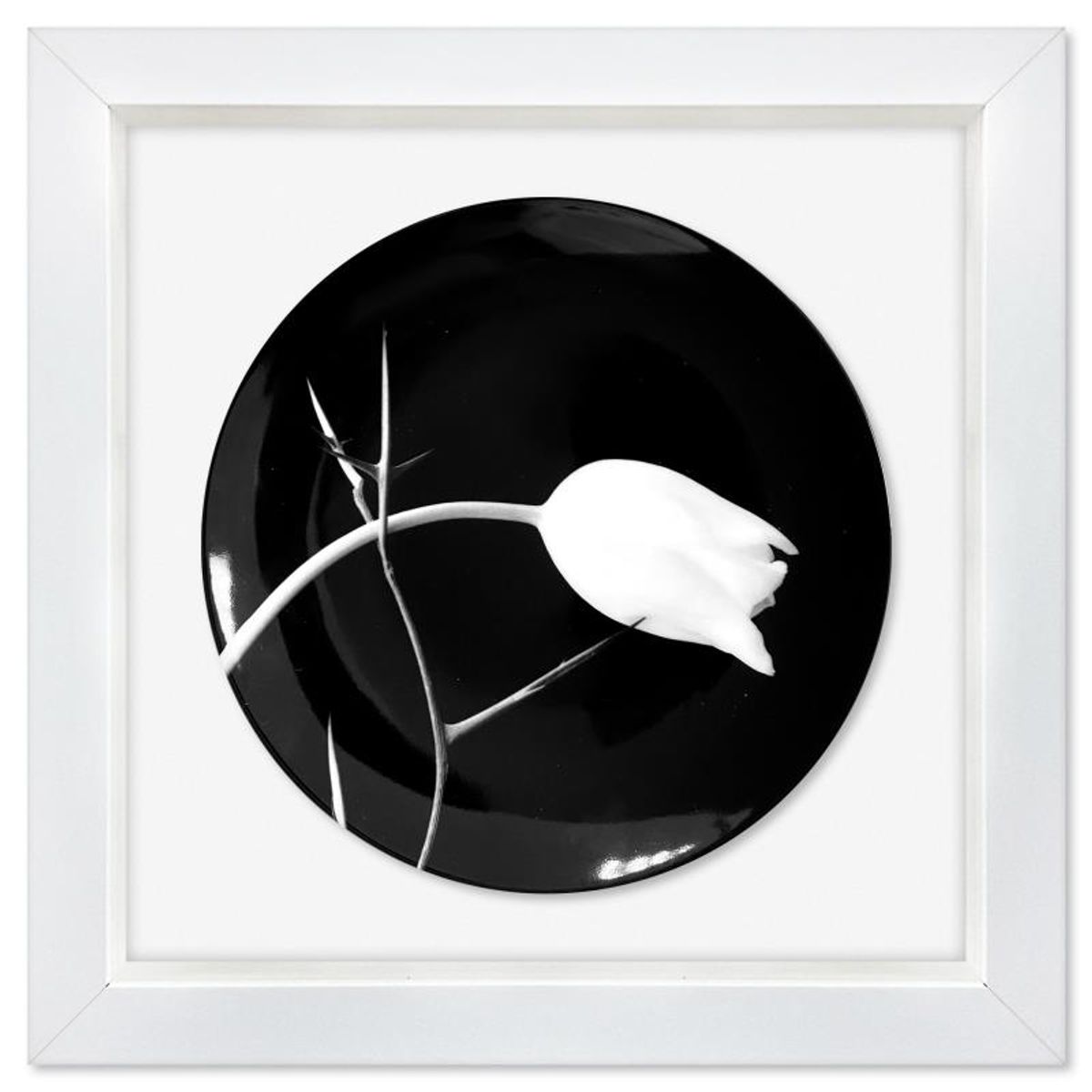 Robert Mapplethorpe (1946-1989), "Tulip (1988)" Framed Limoges Porcelain Plate.