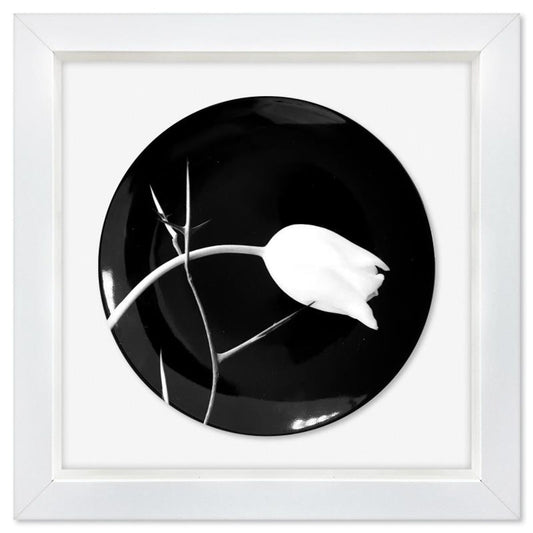 Robert Mapplethorpe (1946-1989), "Tulip (1988)" Framed Limoges Porcelain Plate.
