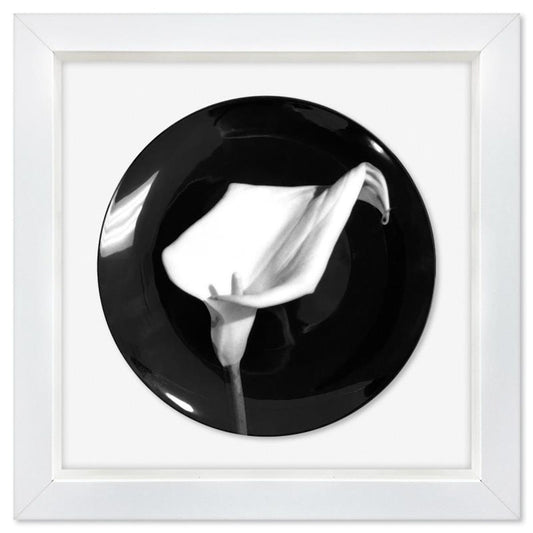 Robert Mapplethorpe (1946-1989), "Calla Lily (1987)" Framed Limoges Porcelain Plate.