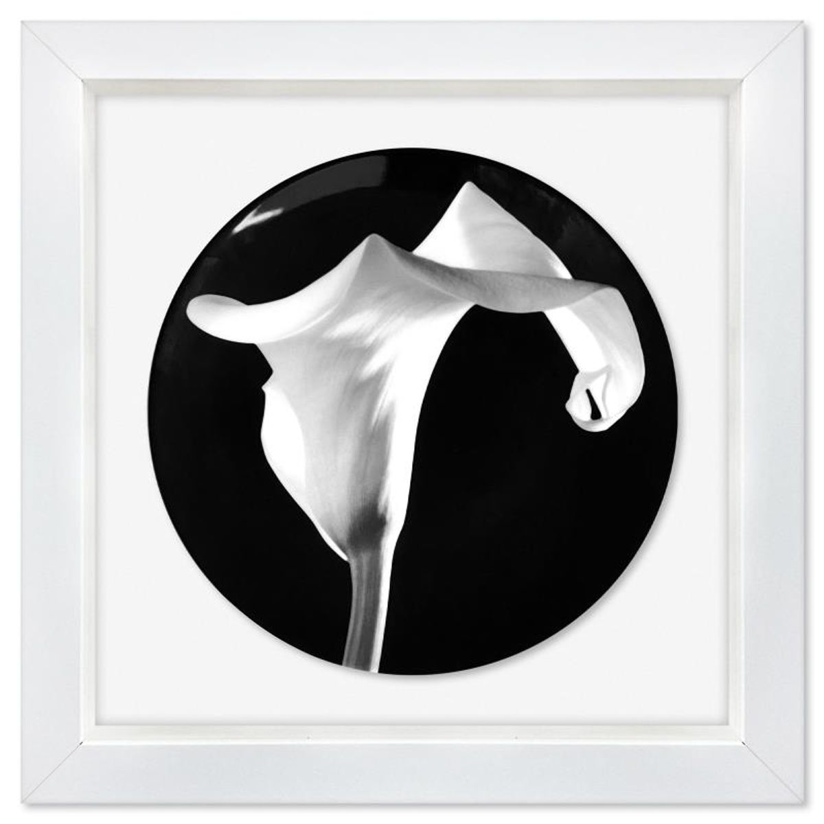 Robert Mapplethorpe (1946-1989), "Calla Lily (1988)" Framed Limoges Porcelain Plate.