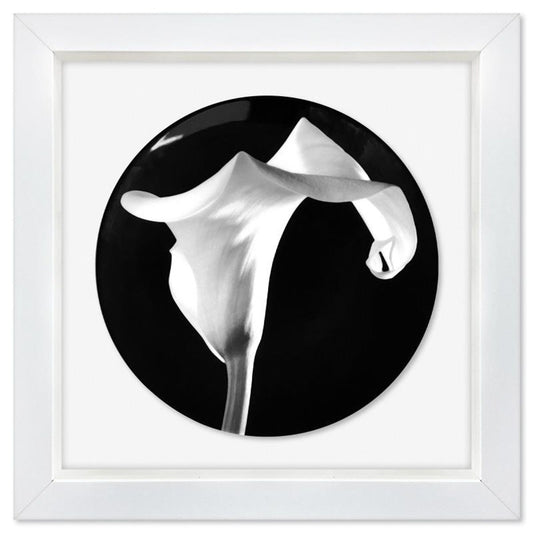 Robert Mapplethorpe (1946-1989), "Calla Lily (1988)" Framed Limoges Porcelain Plate.