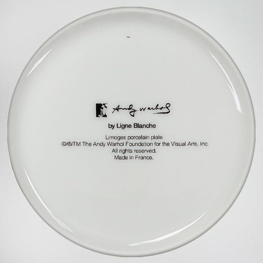 Andy Warhol (1928-1987), "Self Portrait (Red)" Framed Limoges Porcelain Plate.