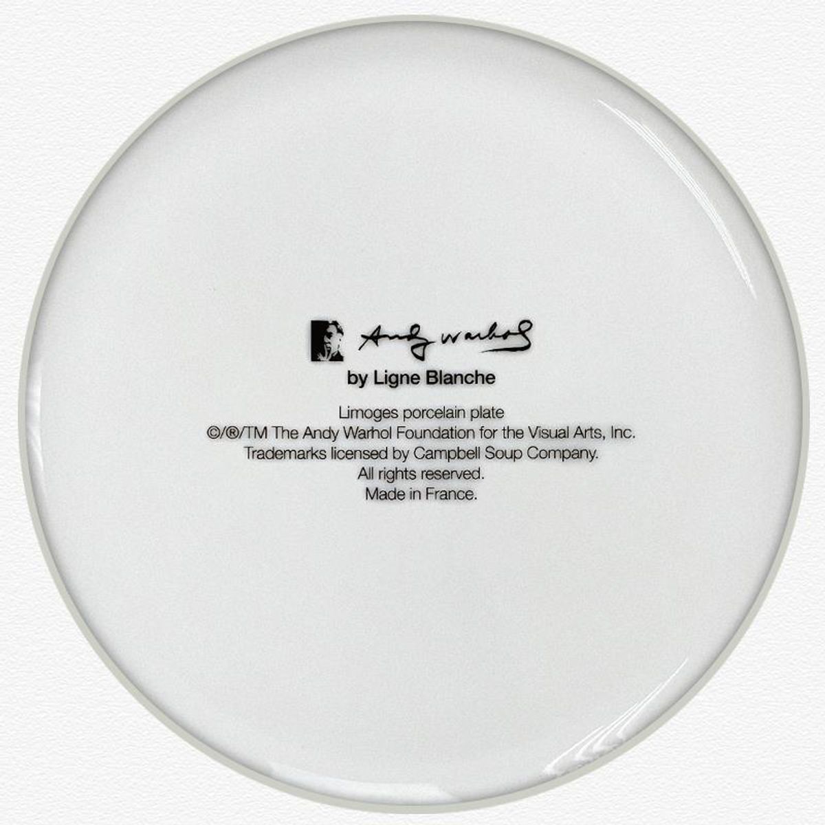 Andy Warhol (1928-1987), "Campbell (Red/Pink)" Framed Limoges Porcelain Plate.