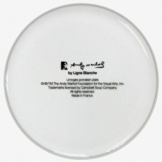 Andy Warhol (1928-1987), "Campbell (Orange/Blue)" Framed Limoges Porcelain Plate.