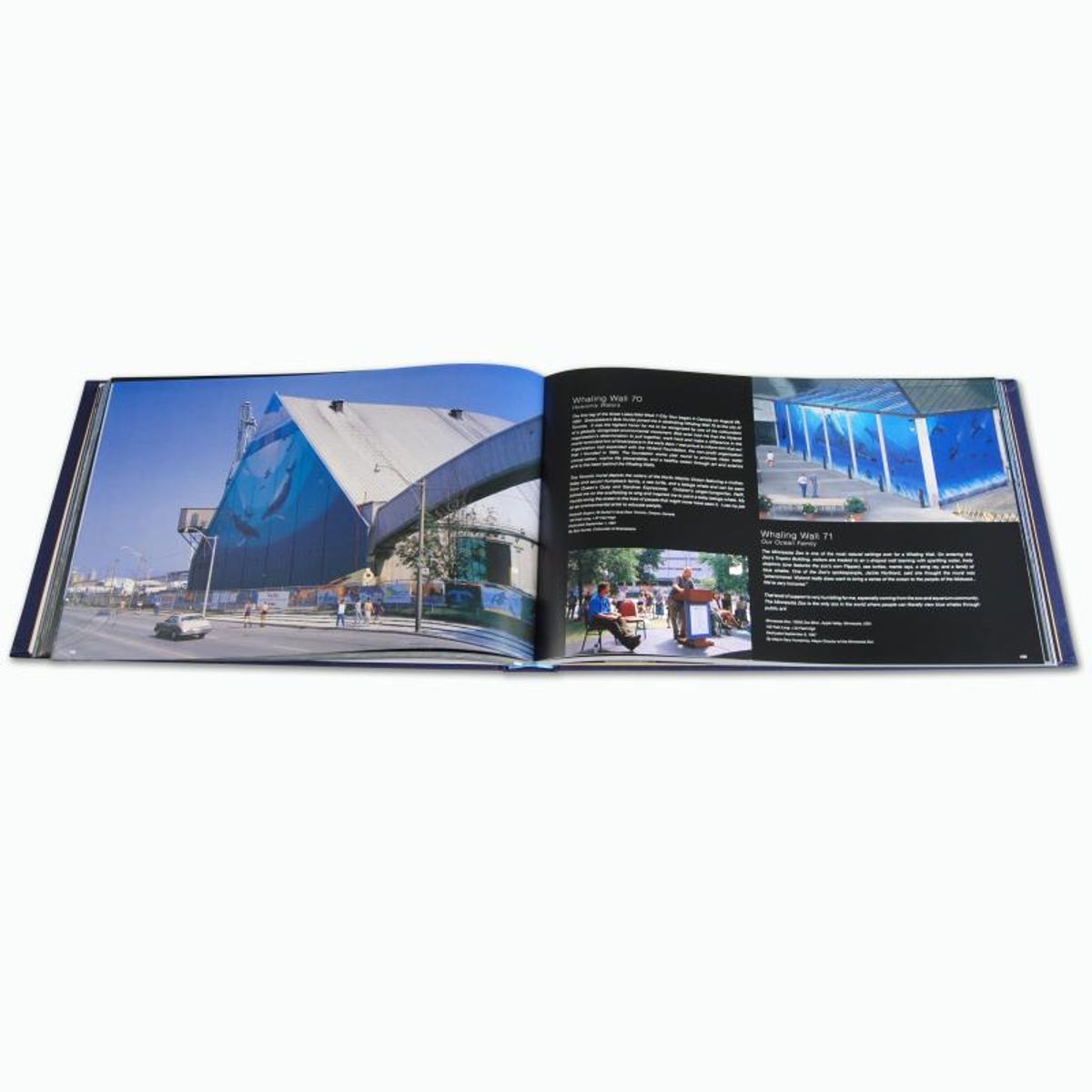 Wyland: 100 Whaling Walls (2008) Limited Edition Collector's Fine Art Book by World-Renowned Artist Wyland. Comes with One of the Actual Paint Brushes Used to Paint The Whaling Wall in Beijin